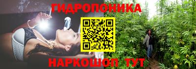 спайс Жуковский