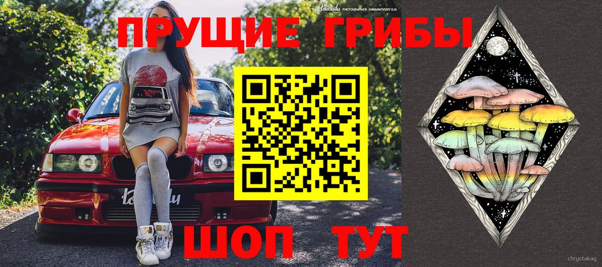 Людиново  Псилоцибиновые грибы Magic Shrooms  Вход с VPN 